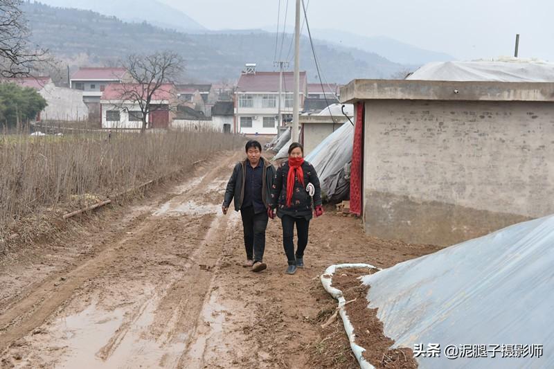 山西農(nóng)民大棚里種香椿，9分地種植70000苗，28元1斤，收入保密
