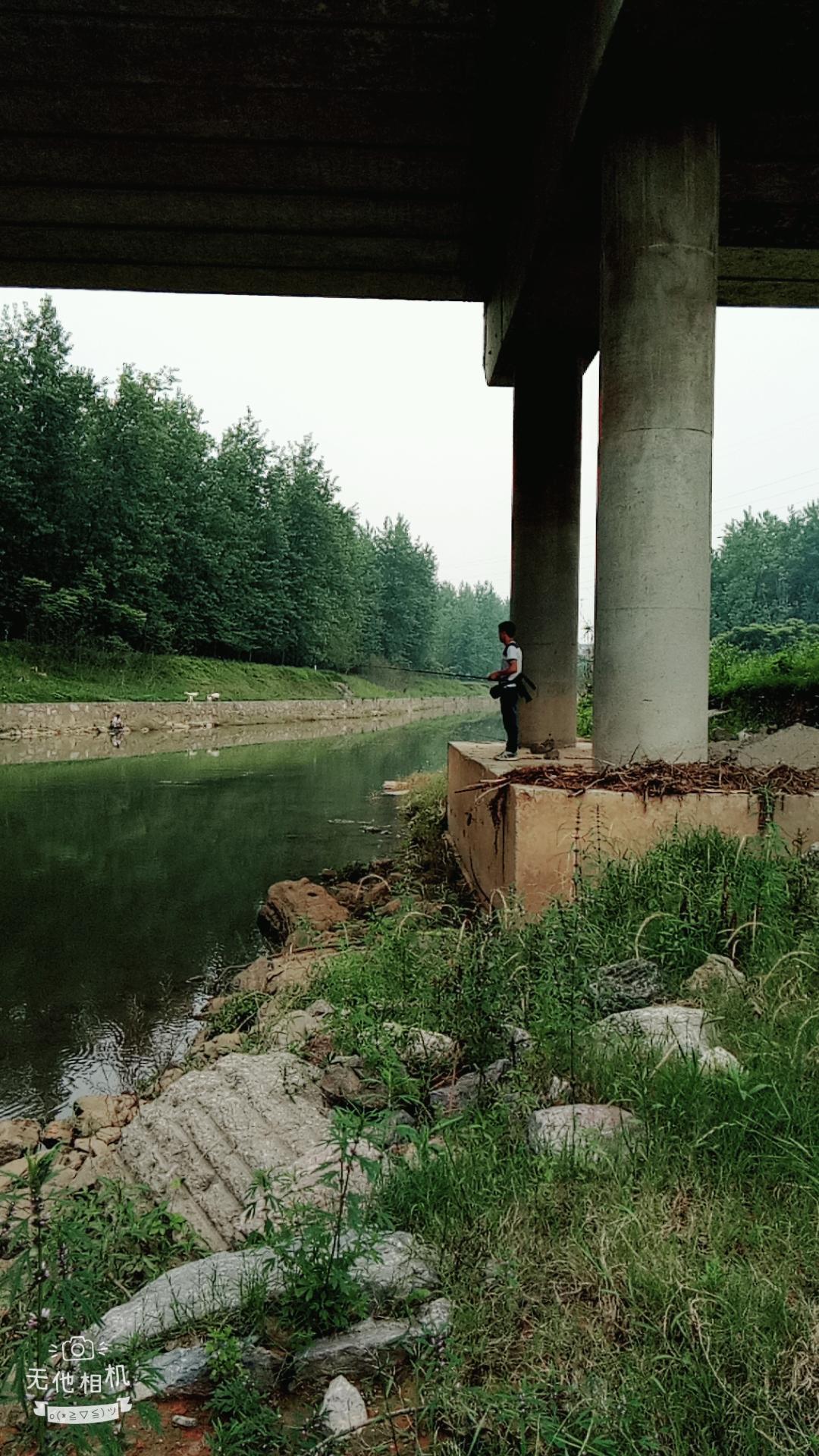 湖北宜都枝城赤溪河，長(zhǎng)在河邊的抗癌藥草