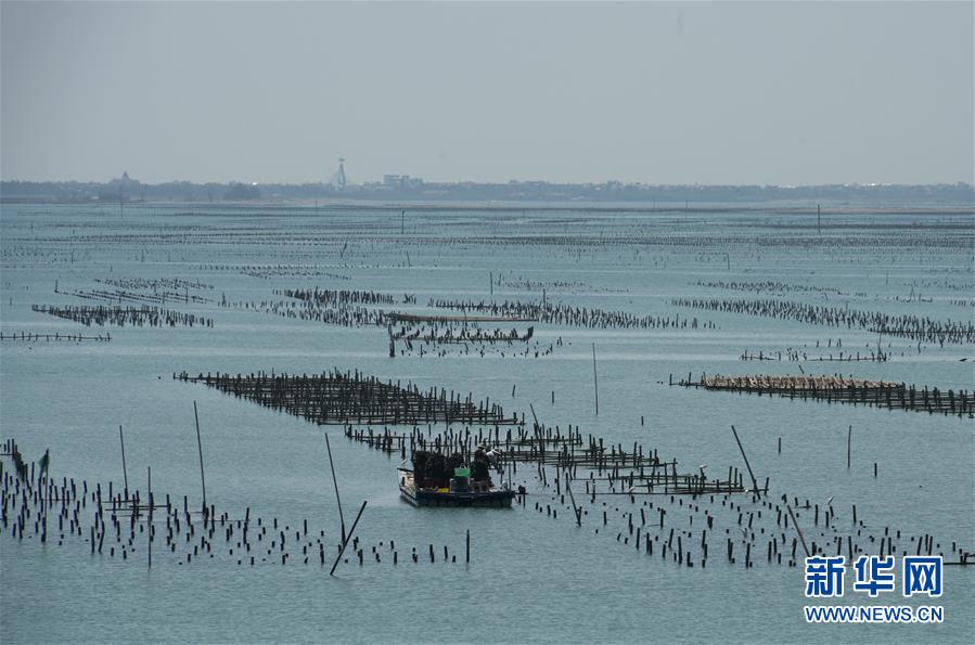 骨肉天親同枝連——兩岸“東石”同名村探“緣”