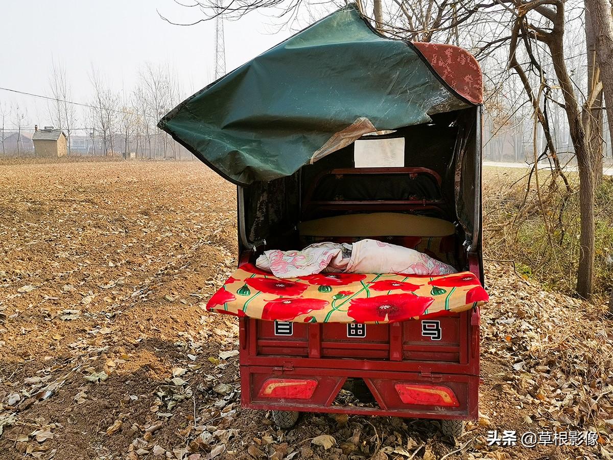 江蘇人到安徽種藥材，年盈利300多萬：有人聽起來像笑話